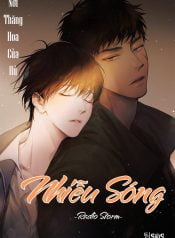 Nhiễu Sóng