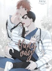 vungvay