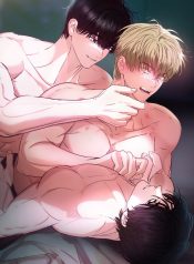 visual_w720