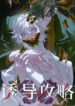c8e68843-54fa-4d7a-9352-488288a42050
