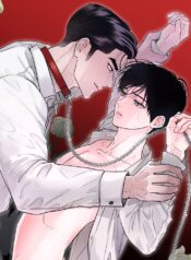 visual_w720